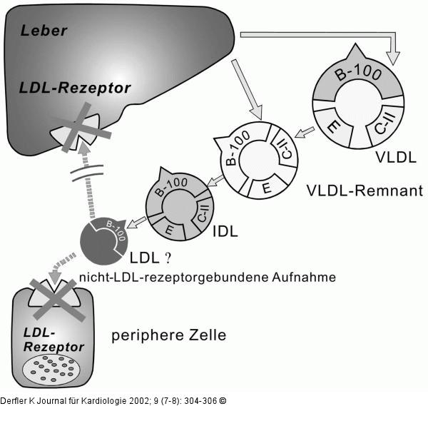 Familiäre Hypercholesterinämie - Ursache