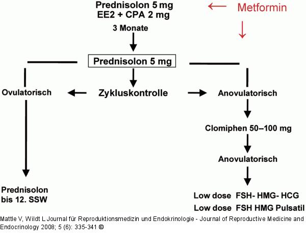 Hyperandrogenämische Ovarialinsuffizienz