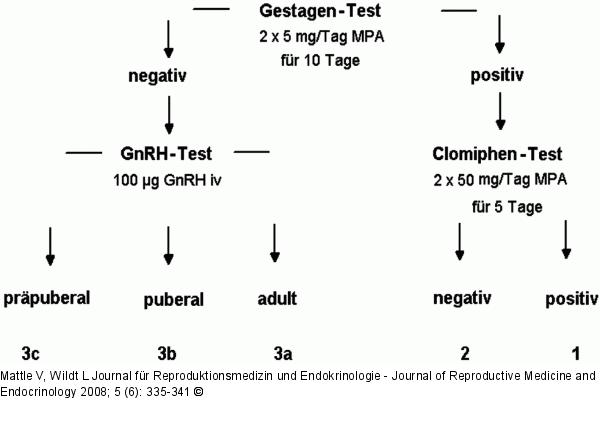 Hypothalamische Ovarialinsuffizienz