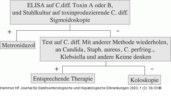 Antibiotikaassoziierte Diarrhoe -Therapie