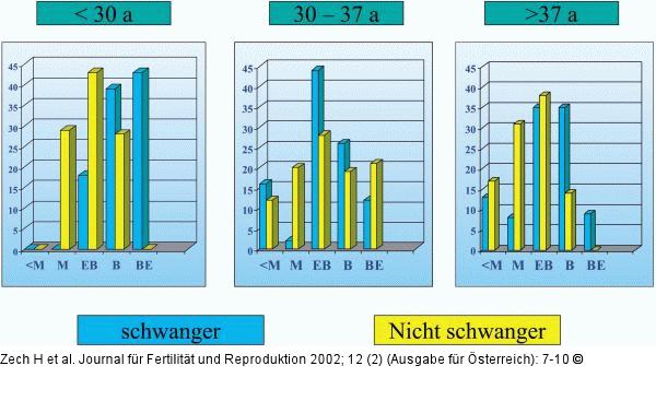 Blastozystentransfer