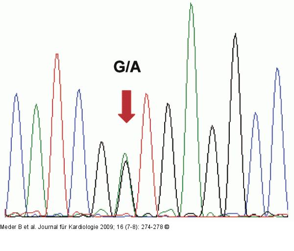 DNA-Sequenzierung