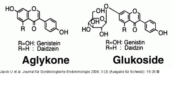 Daidzein - Genistein