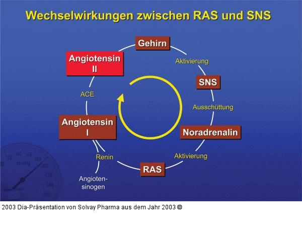 Wechselwirkungen zwischen RAS und SNS