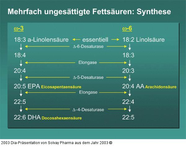 Mehrfach ungesättigte Fettsäuren: Synthese