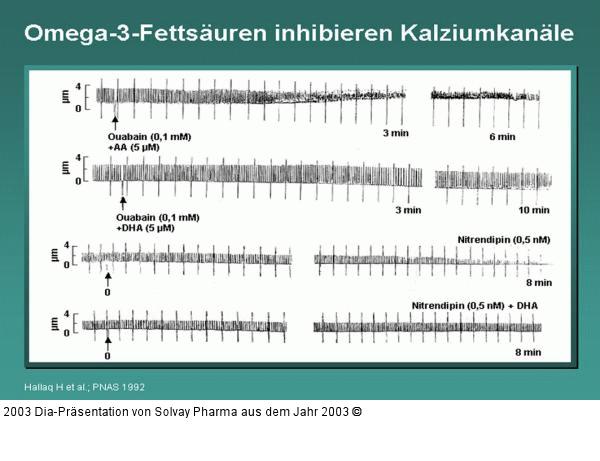 Omega-3-Fettsäuren inhibieren Kalziumkanäle