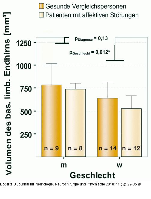 Basales limbisches Endhirn