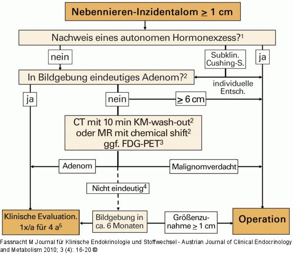Nebennieren-Inzidentalom