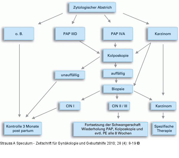 Schwangerschaft - Krebsdiagnose