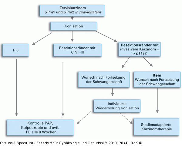 Schwangerschaft - Krebsdiagnose