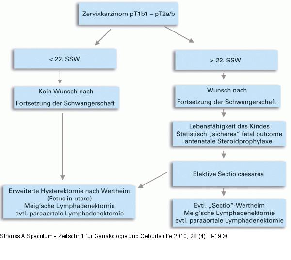 Schwangerschaft - Krebsdiagnose