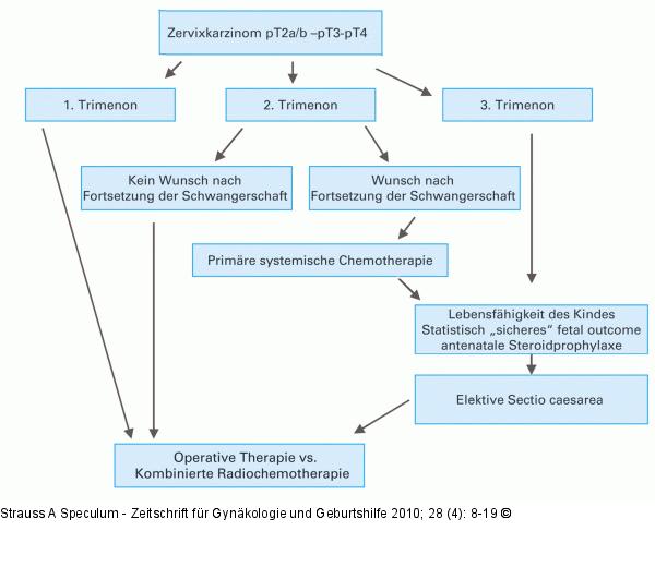 Schwangerschaft - Krebsdiagnose