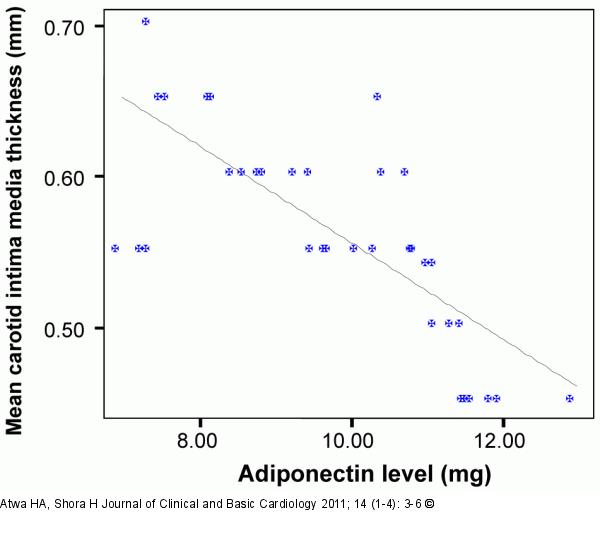 Adiponectin - cIMT