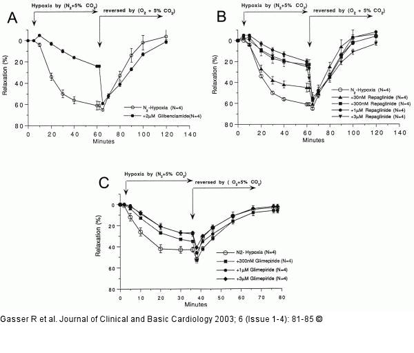 Koronararterien - Relaxation