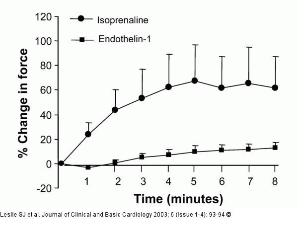 Endothelin-1 - Betaadrenerge Stimulation