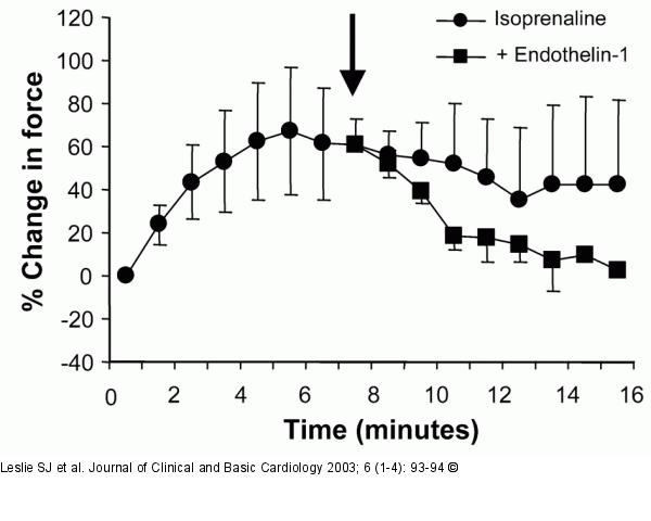 Endothelin-1 - Betaadrenerge Stimulation