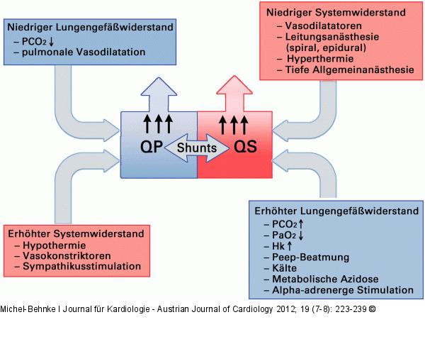 Einflussfaktor - Perfusion