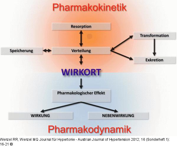 Pharmakokinetik - Pharmakodynamik  