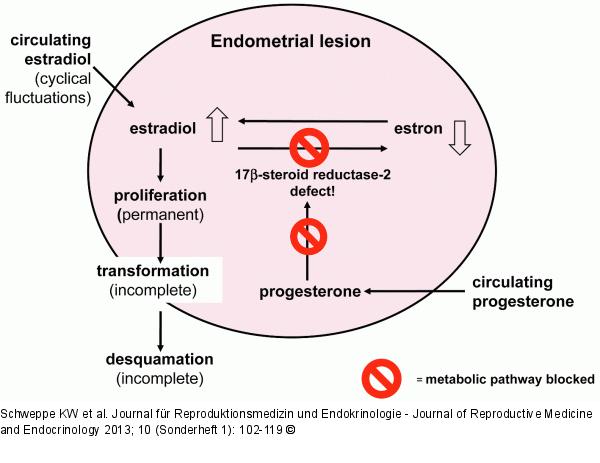Estrogen metabolism in endometrial lesions