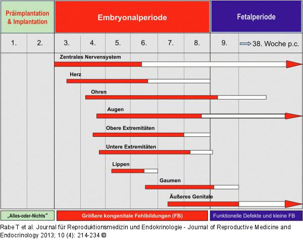 Embryonalentwicklung-Teratogene