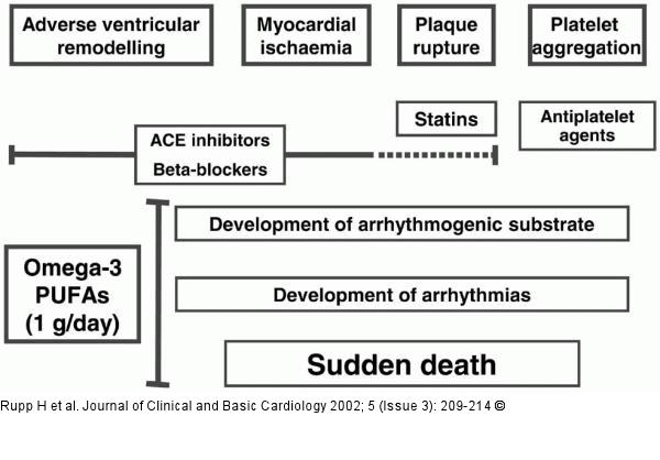 Omega-3-Fettsäuren - Arrhythmien