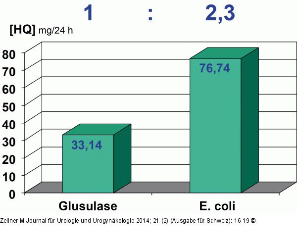 Phytotherapie-Harnwegsinfektion