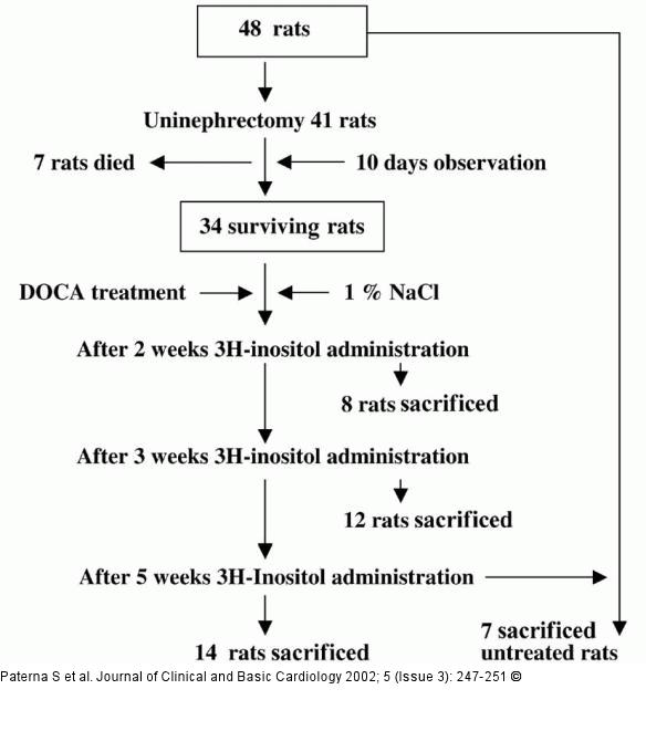 Inositol - cAMP - Herzinsuffizienz