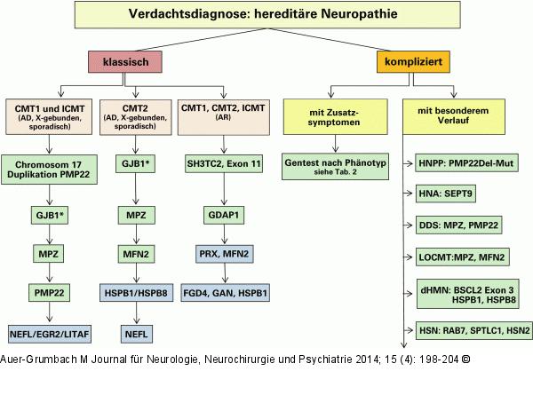 Hereditäre Neuropathie