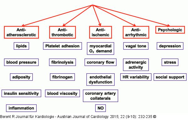 Kardioprotektion - körperliche Aktivität