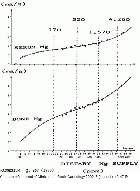 Magnesium-L-Aspartat - Magnesium