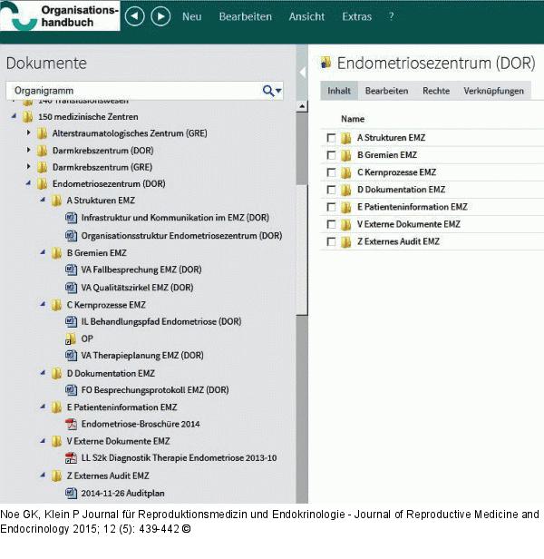 Endometriose-Handbuch