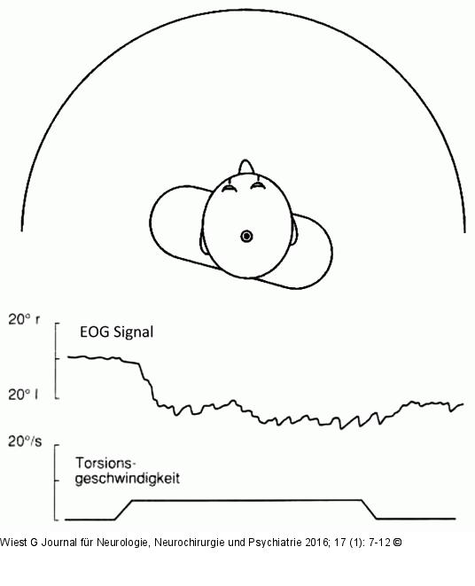 Zerviko-okulärer-Reflex