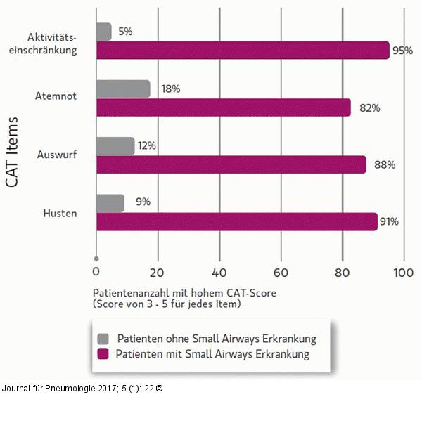 „Small Airways“-Erkrankung