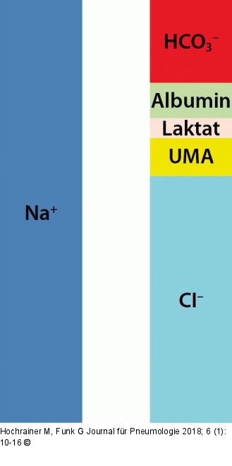 Kationen - Anionen - Blutplasma