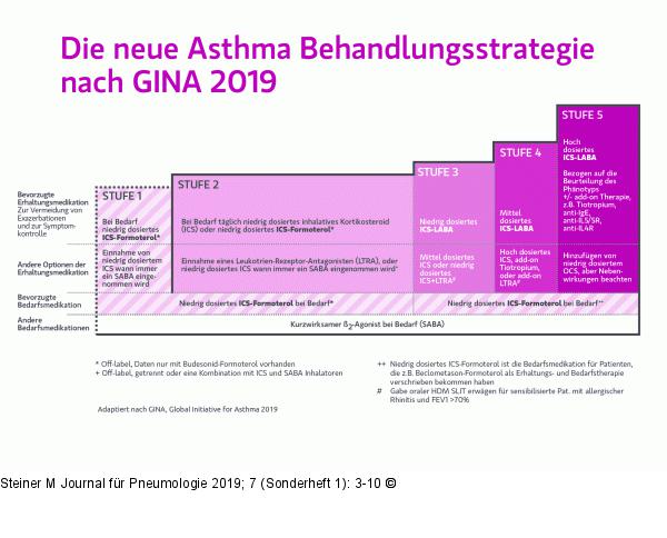GINA-Schema 2019