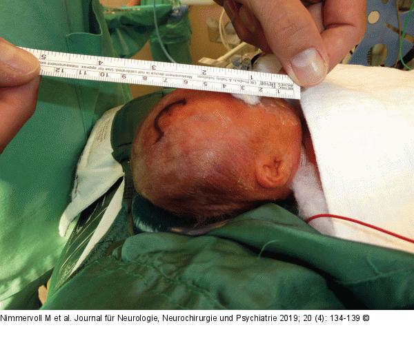 Größenverhältnisse