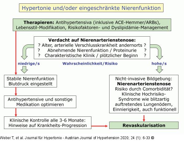 Renovaskuläre Hypertonie