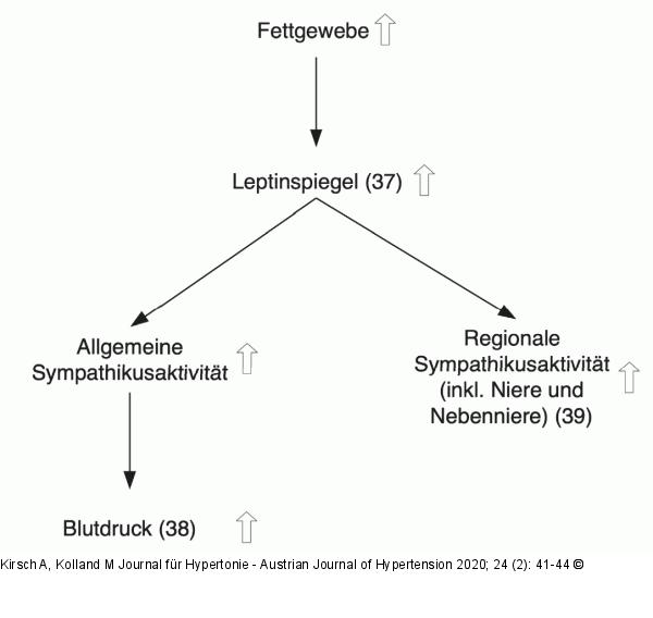 Erhöhter Leptinspiegel
