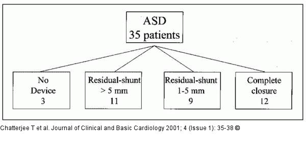 Vorhofseptumdefekt Verschluß