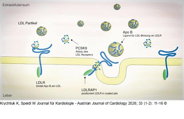 familiäre Hypercholesterinämie