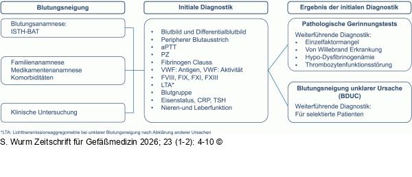 Blutungsneigung