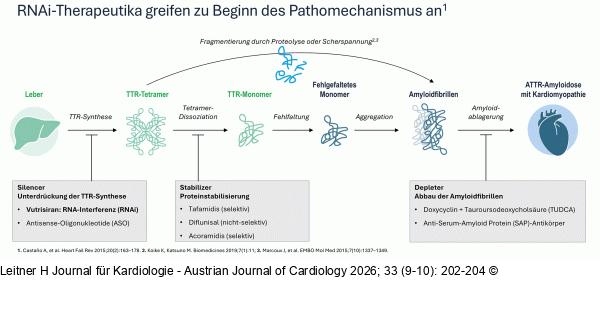 Schema