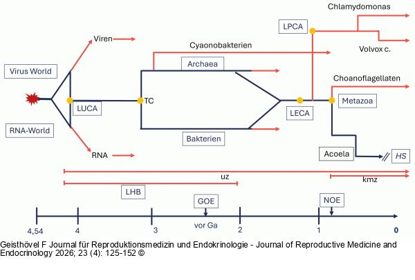 Schematischer Zeitverlauf