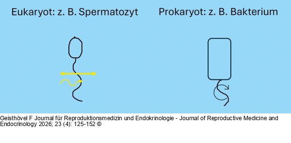 Motilitätsorgan bei Einzellern