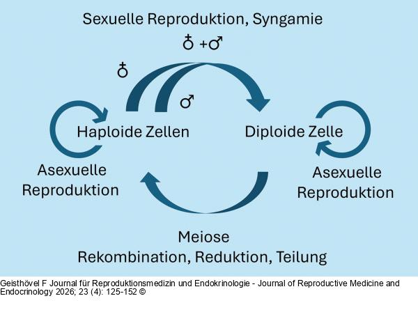 Reproduktion