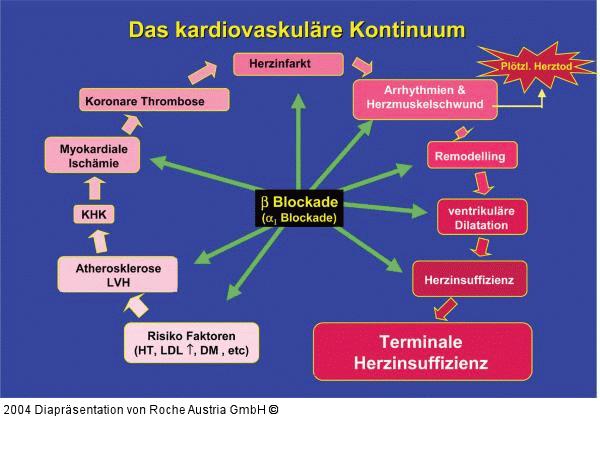 Kardiovaskuläres Kontinuum