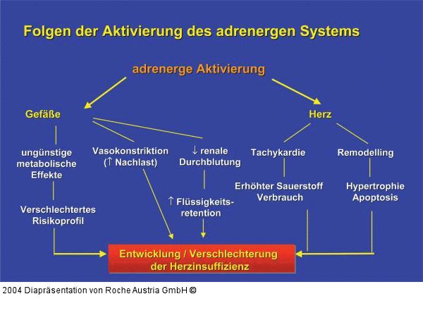Folgen der Aktivierung des adrenergen Systems