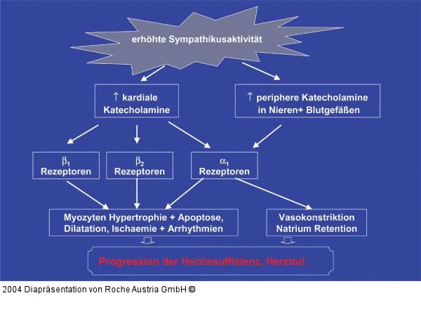 Folgen der erhöhten Sympathikusaktivität