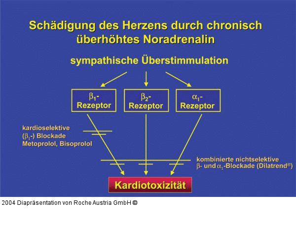 Schädigung des Herzen durch Noradrenalin