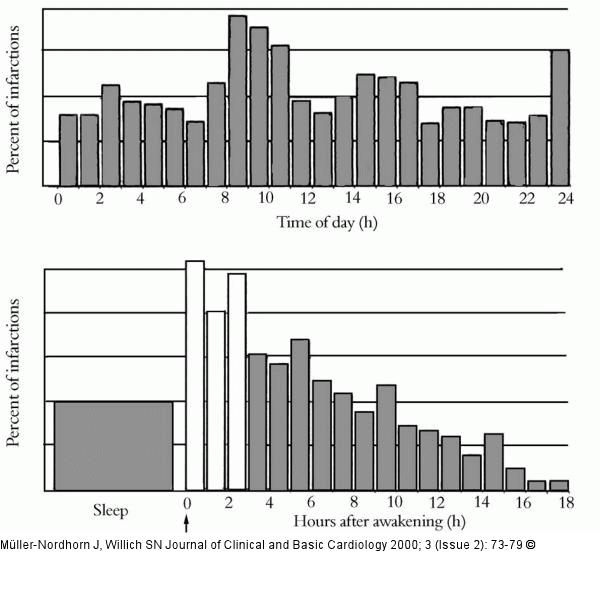 Myokardinfarkt - Tageszeit